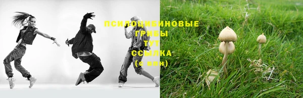 прущая мука Гусев