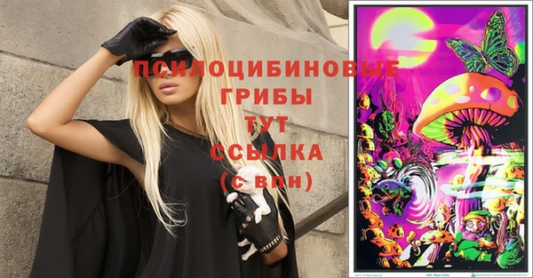 прущая мука Гусев