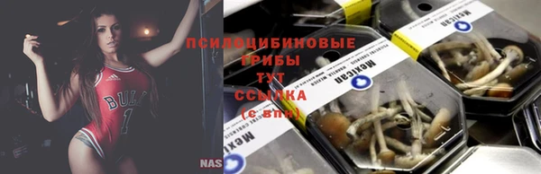 2c-b Гусиноозёрск