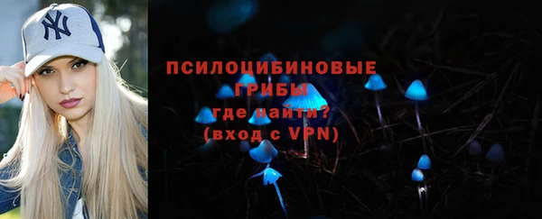 кристаллы Гусь-Хрустальный