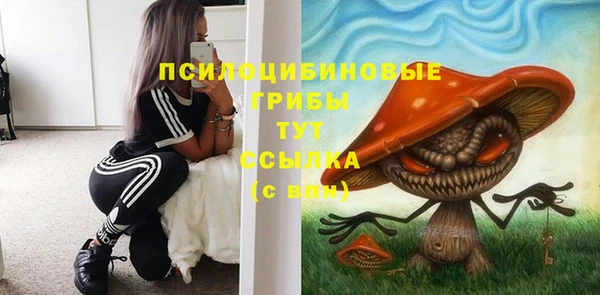 кристаллы Гусь-Хрустальный