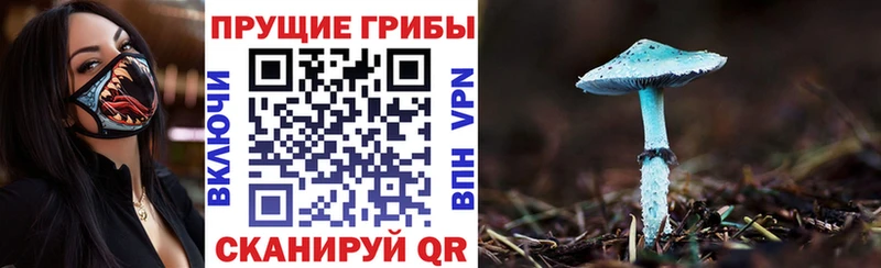 Псилоцибиновые грибы Psilocybe  кракен ТОР  Евпатория 