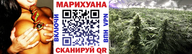 где продают   Евпатория  Бошки Шишки ГИДРОПОН 